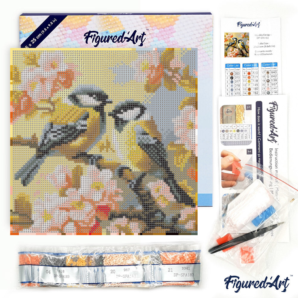 Mini Diamond Painting 25x25cm - Pair of Birds amidst Blossoms - Framed canvas