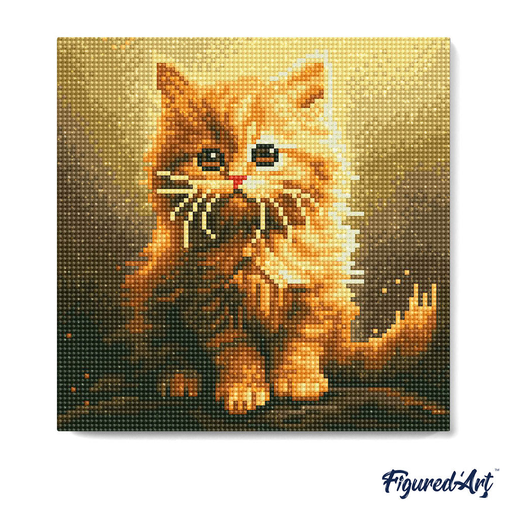 Mini Diamond Painting 25x25cm - Fluffy Orange Kitten - Framed canvas