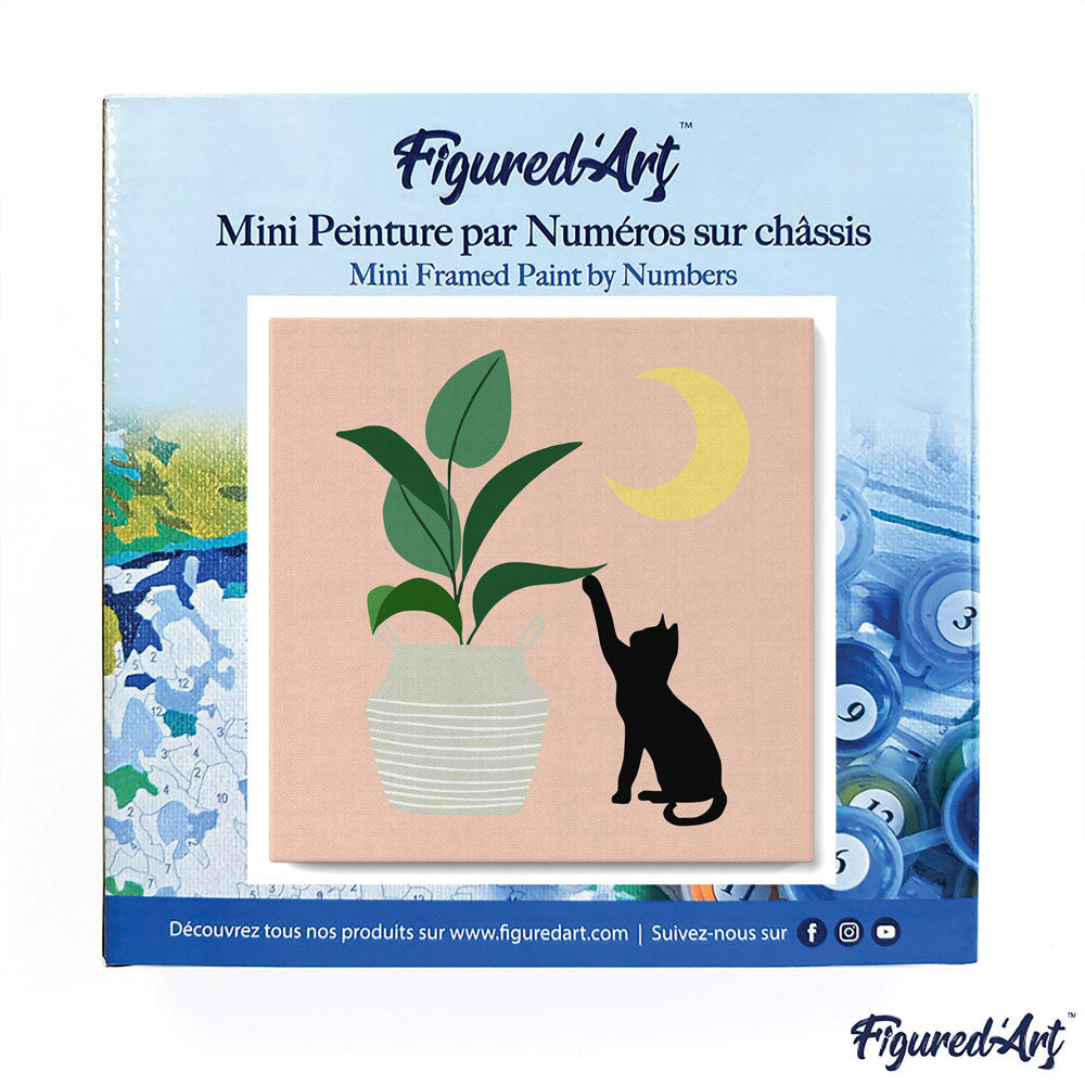 Mini Paint by numbers Cat plays with plant in the moonlight 20x20cm Framed canvas