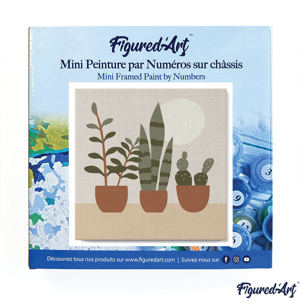 Mini Paint by numbers Three plant pots 20x20cm Framed canvas