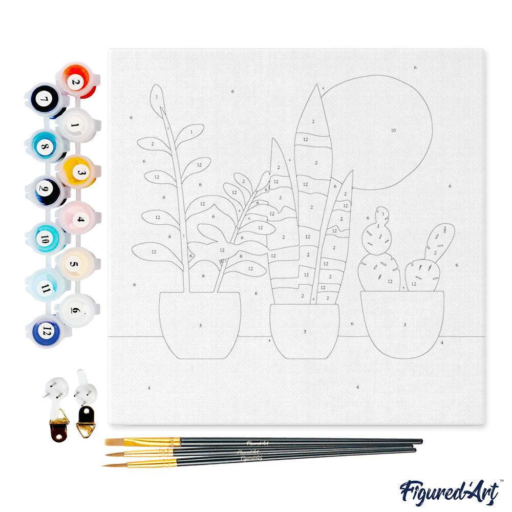 Mini Paint by numbers Three plant pots 20x20cm Framed canvas