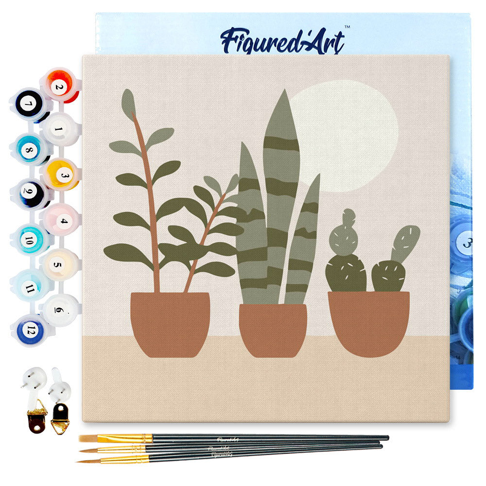 Mini Paint by numbers Three plant pots 20x20cm Framed canvas