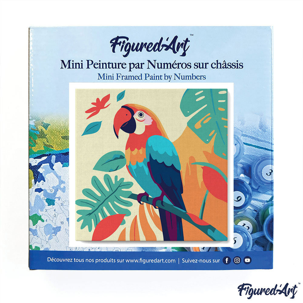 Mini Paint by numbers Tropical Parrot 20x20cm Framed canvas