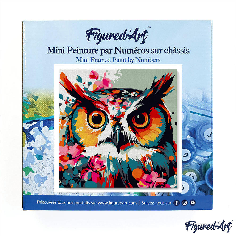 Mini Paint by numbers Fantasy owl with flowers 20x20cm Framed canvas
