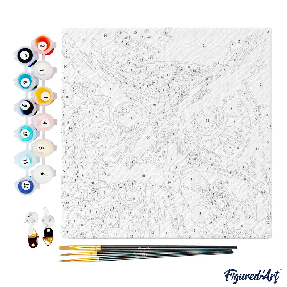 Mini Paint by numbers Fantasy owl with flowers 20x20cm Framed canvas